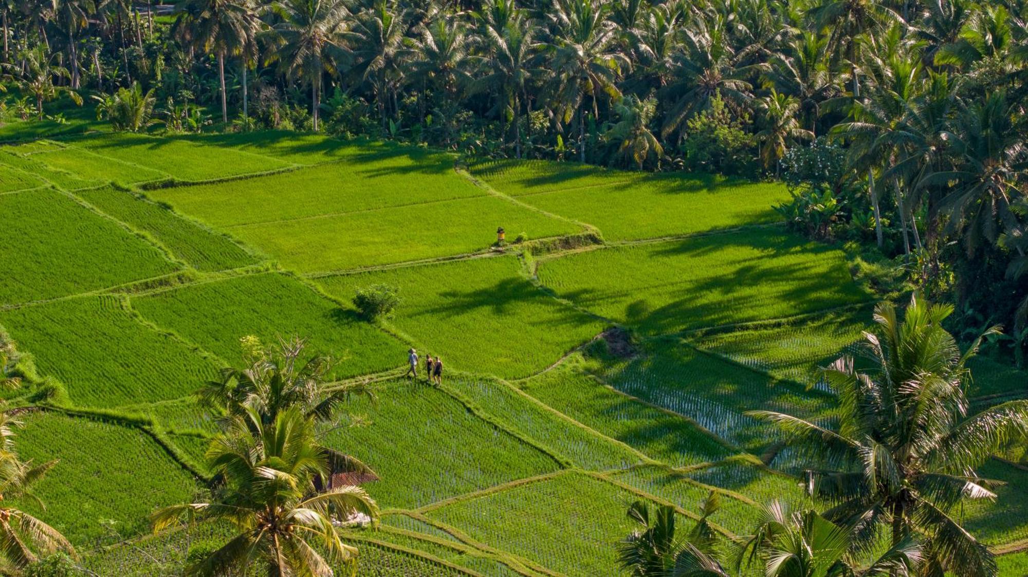 Lasamana Villas Ubud By Pramana Villas Exterior foto